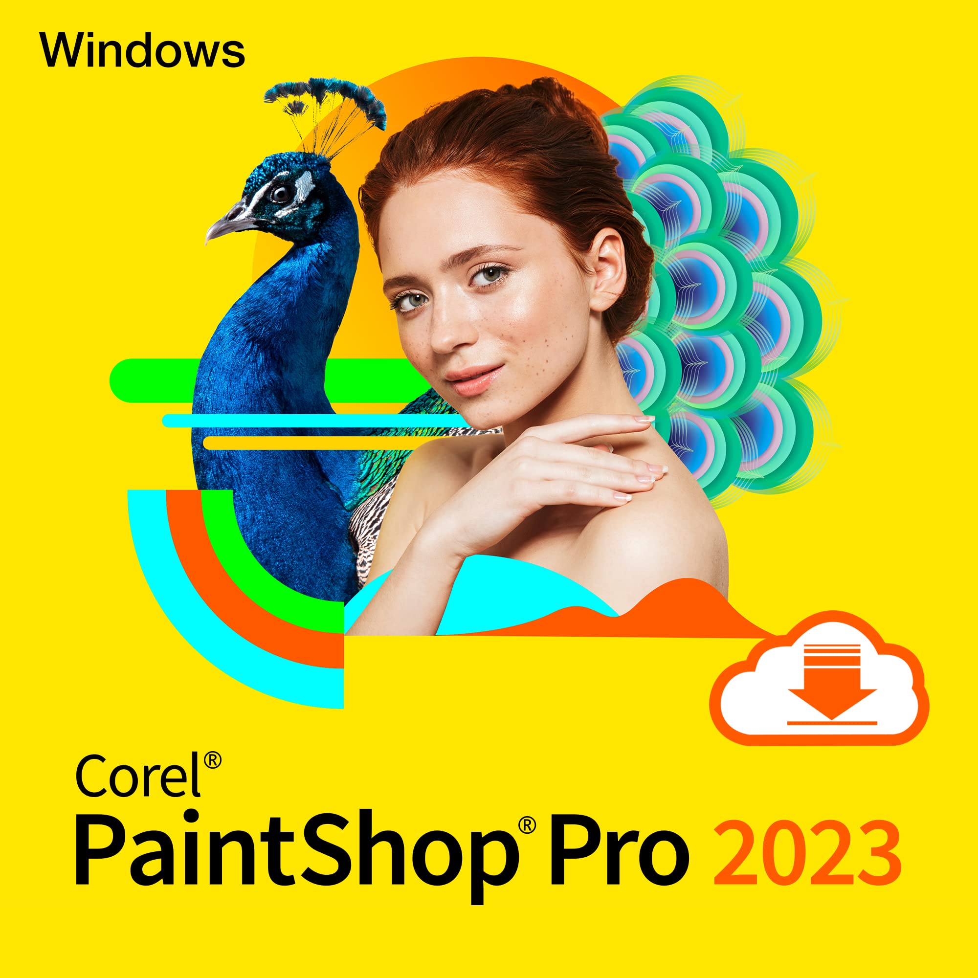corel-paintshop-pro-ultimate-bildbearbeitung-download image 2