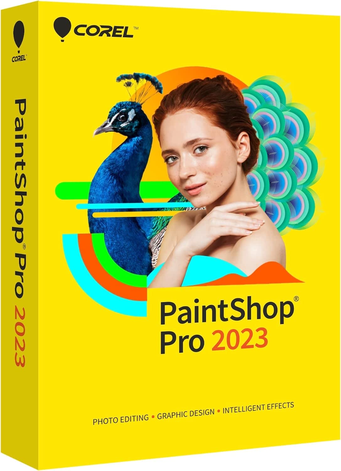 corel-paintshop-pro-ultimate-bildbearbeitung-download image 3